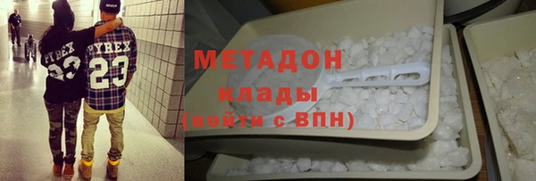 прущие грибы Надым