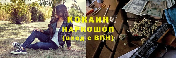 прущие грибы Надым