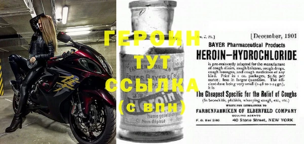 прущие грибы Надым