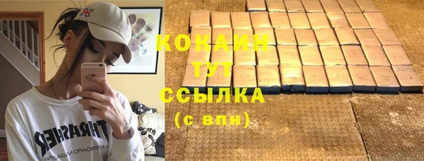 шишки Михайлов