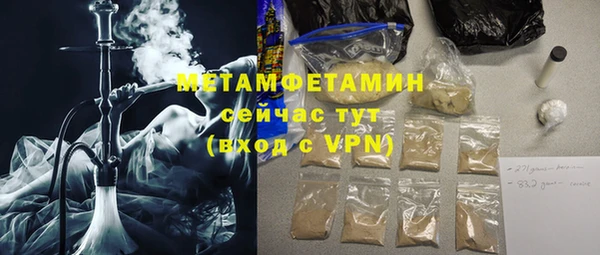 прущие грибы Надым