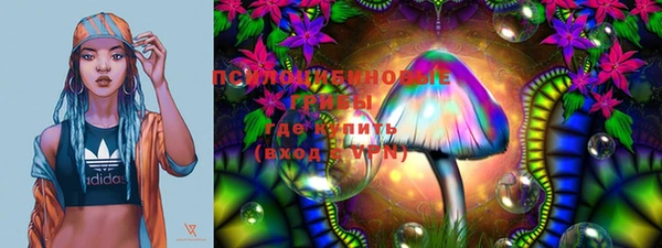 ПСИЛОЦИБИНОВЫЕ ГРИБЫ Наволоки