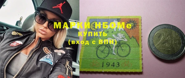 прущие грибы Надым