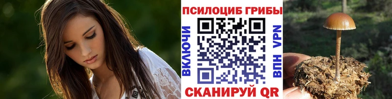 Галлюциногенные грибы Psilocybine cubensis  Приволжск 